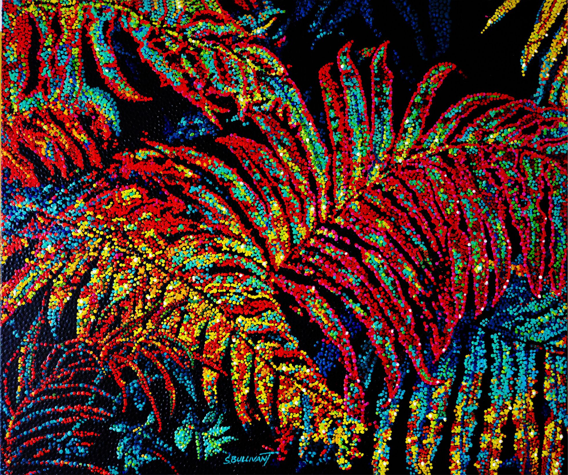 Bush Ferns - available at CAN