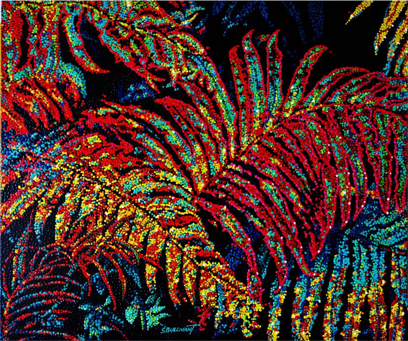 Bush Ferns - available at CAN